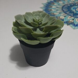 IKEA FEJKA Artificial Succulent